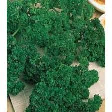 PREZZEMOLO NANO RICCIO NR.2000 SEMI